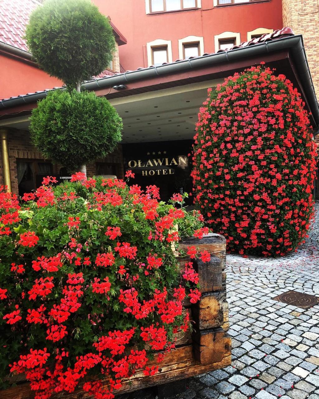 Olawian Hotel Oława Dış mekan fotoğraf